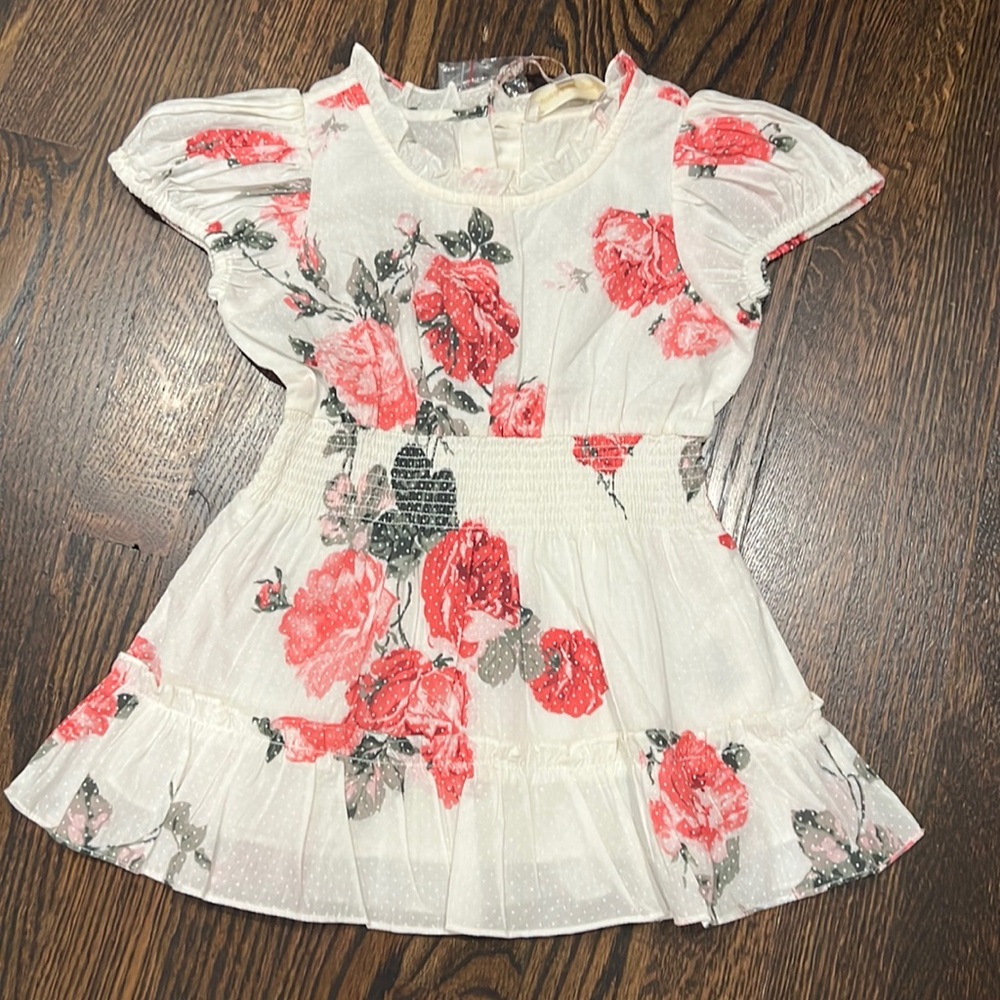 NWT love shack fancy toddler floral dress 2/3